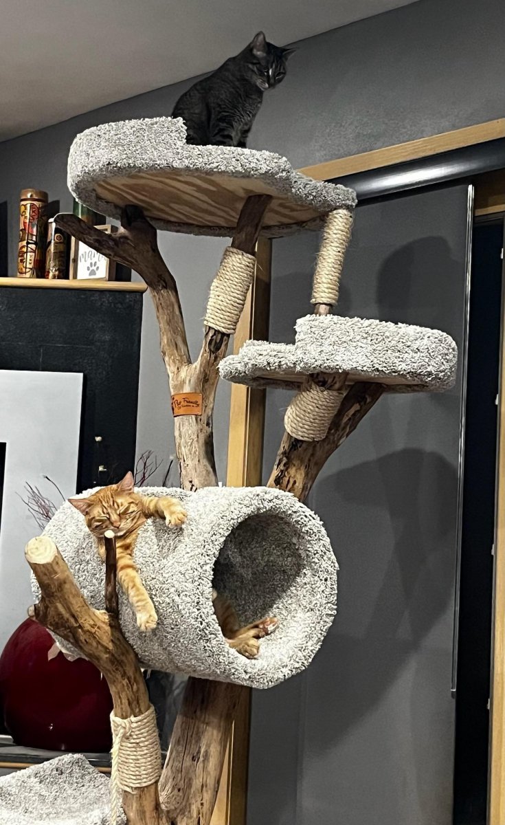 Six Foot Cat Tree