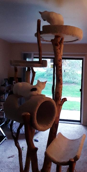 Tall cat tower