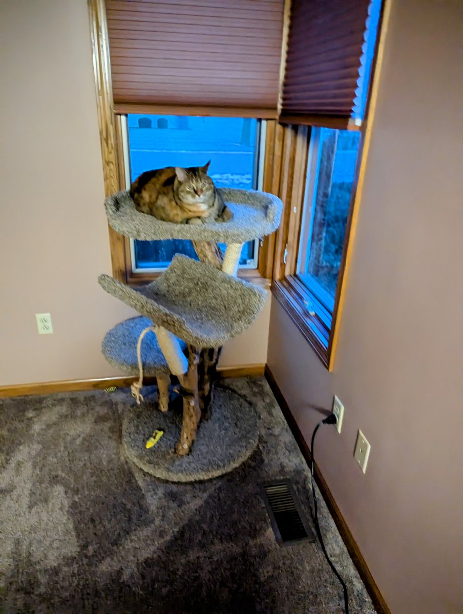 Three level with 24" round bed with rim
