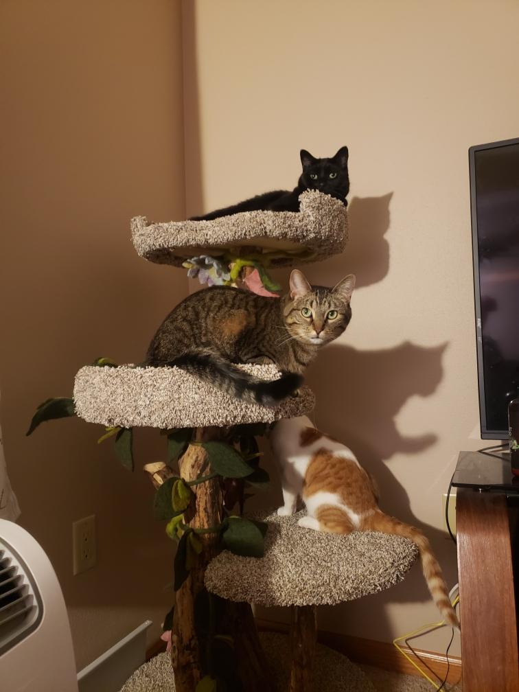 Three level tree