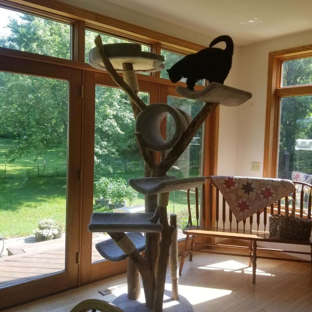 Extra Tall Cat Tower