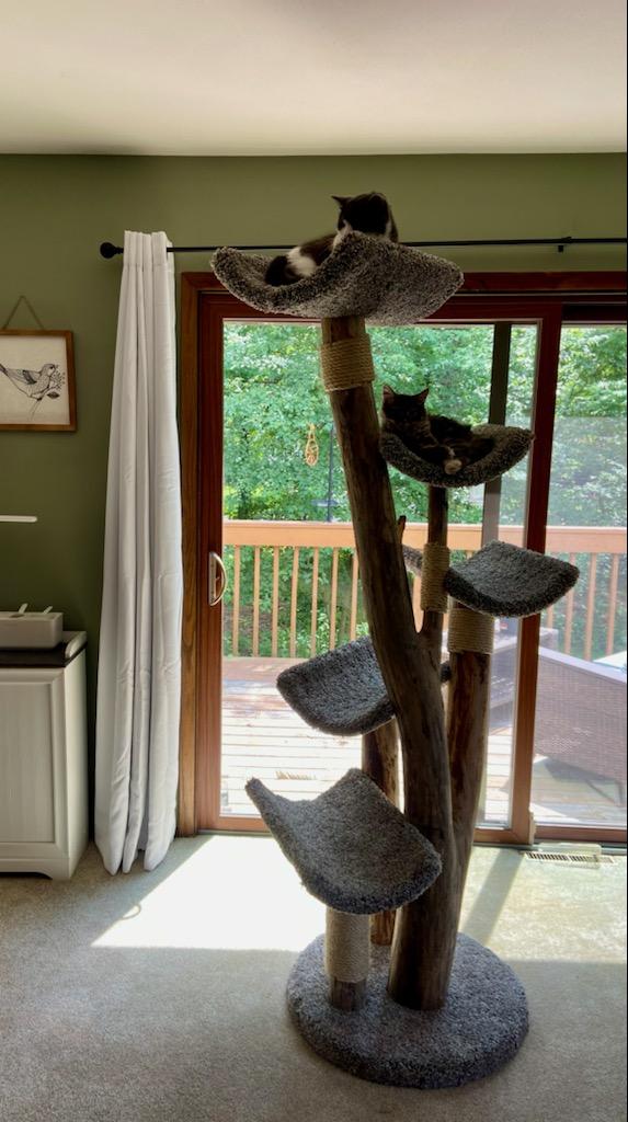 Five Level Scoop Tree