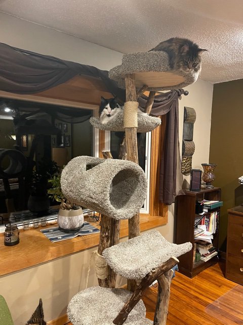 Five Level tunnel tree