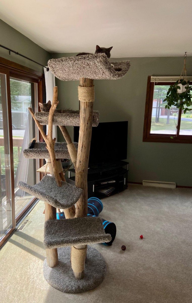 Tall Five Level Scoop Tree