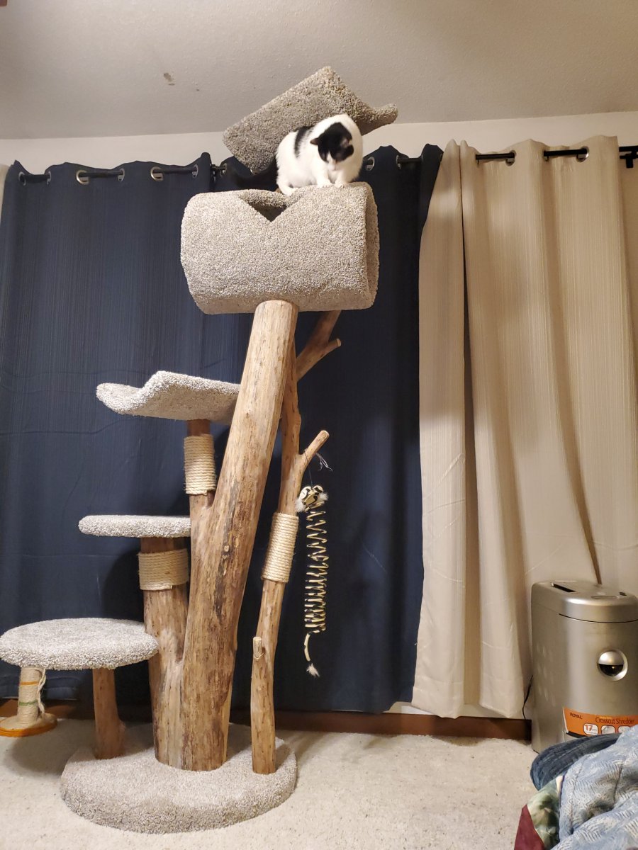 Tunnel Tree with 4 beds plus a tunnel.