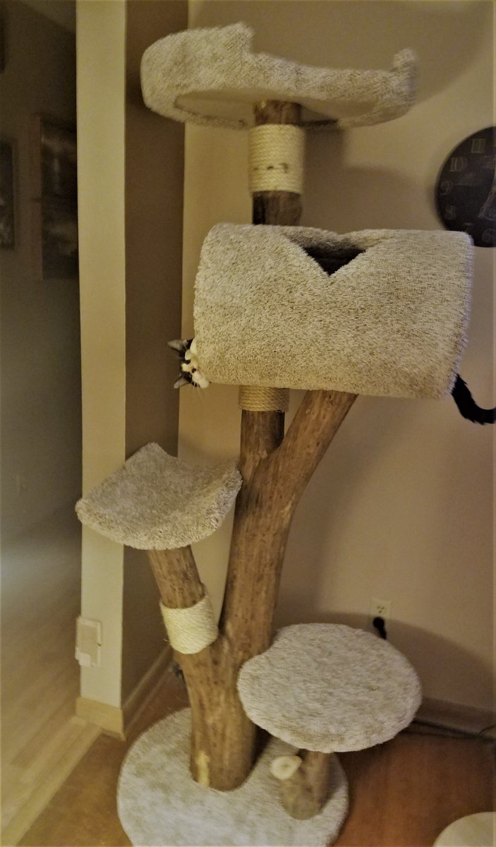 Four Tunnel Tree