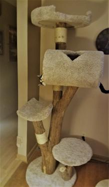 Four Tunnel Tree