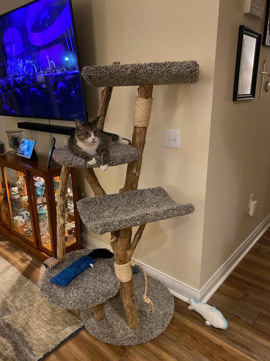 Four level combo tree