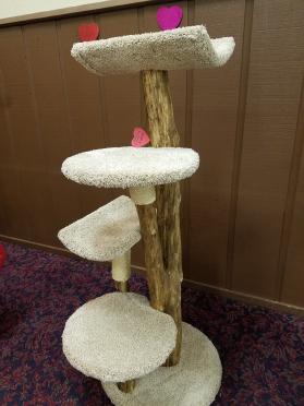 Four combo tree