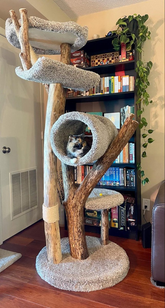 Four level tunnel tree