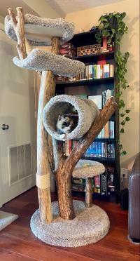 Four level tunnel tree
