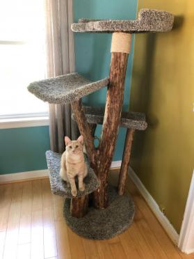 Four Level with the Big Bed and Scoop Beds