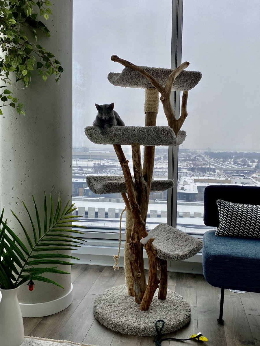 Four Scoop 5 ft tree