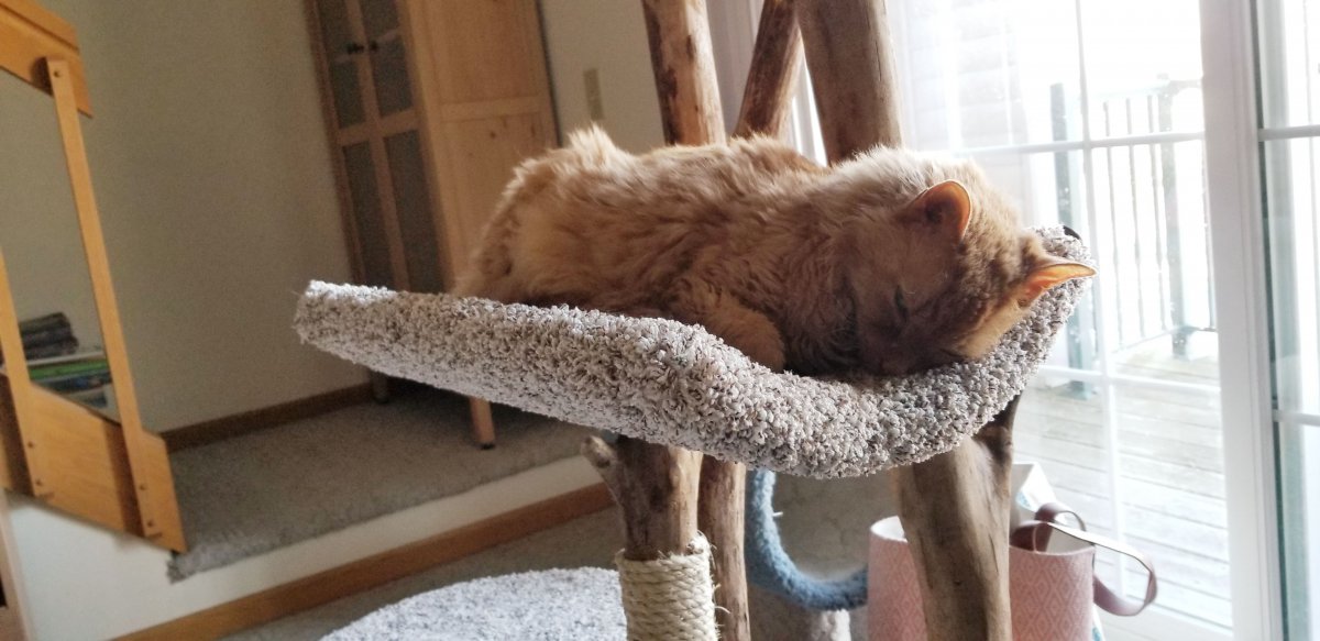 Scoop Bed Photo
