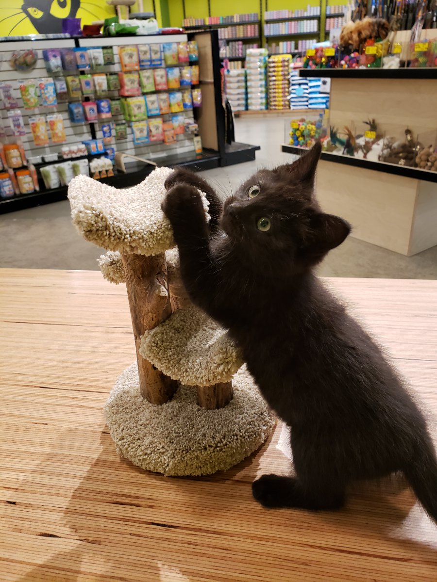 Just the right size
