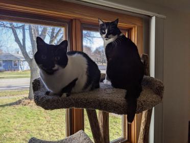 We share