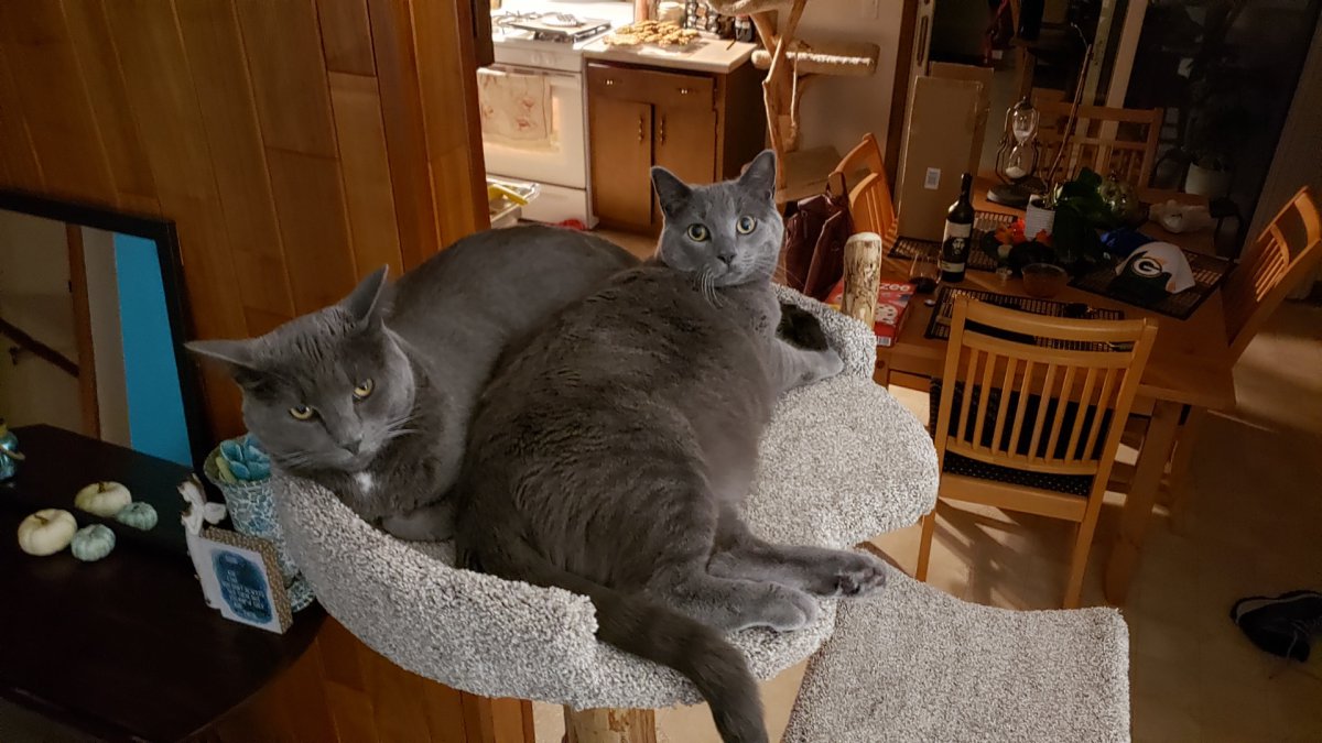 Two is better than one!