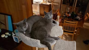 Two is better than one!