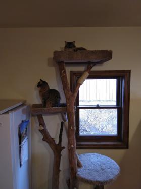Extra Large Custom Tree