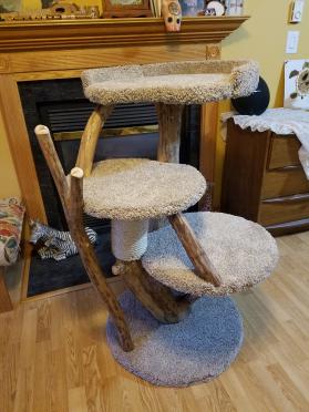 Three Level w/ 24" Round Bed w/Rim and Two Flat Beds