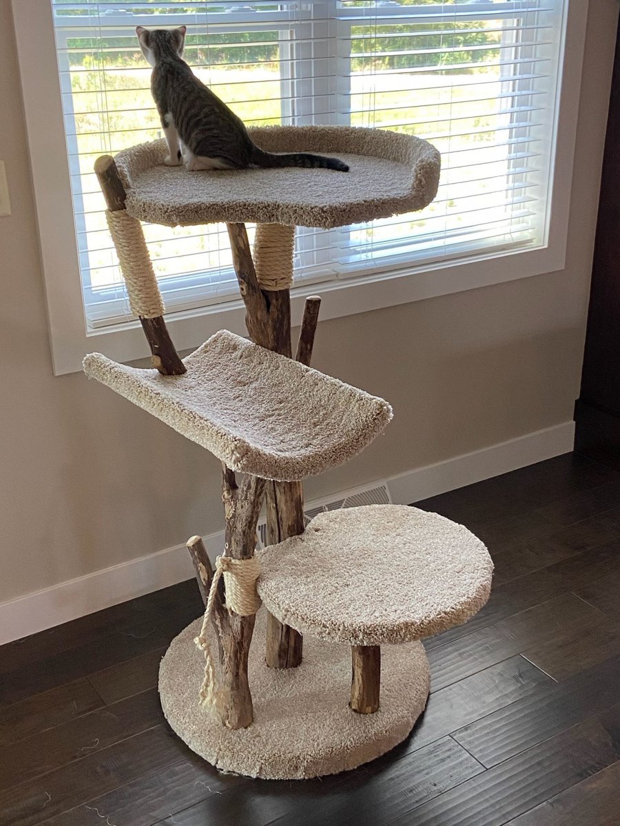 Three Level Cat Tree with 24" Round Bed w/rim
