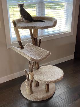 Three Level Cat Tree with 24" Round Bed w/rim