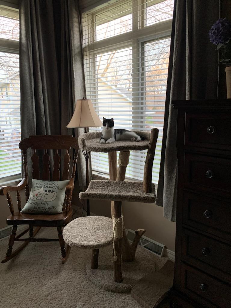 Three tier cat tree