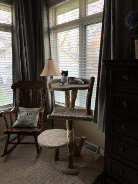 Three tier cat tree
