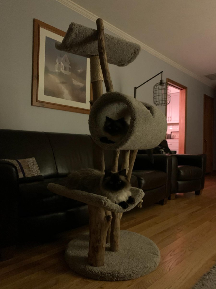 Three level tunnel tree