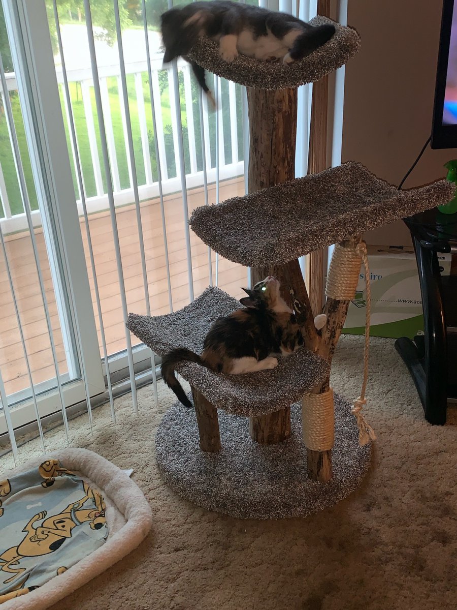 Triple Scoop Three Level