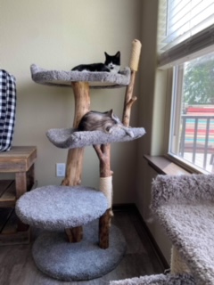 Three level with large bed on top