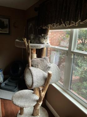 Three level tunnel tree