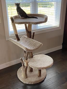 Custom hot sale cat towers