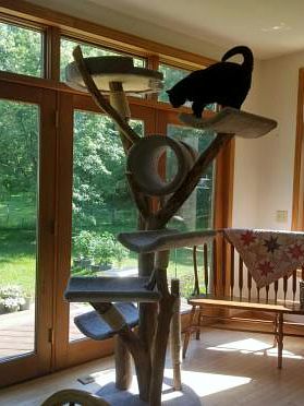 Extra tall 2025 cat tower