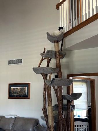 Custom Designed Cat Trees